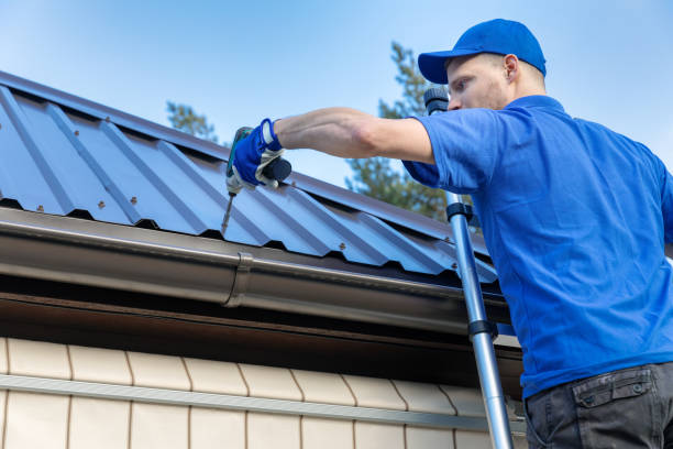 Best Roof Moss and Algae Removal  in Princeton, WV